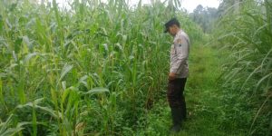 IMG-20260922-WA0112