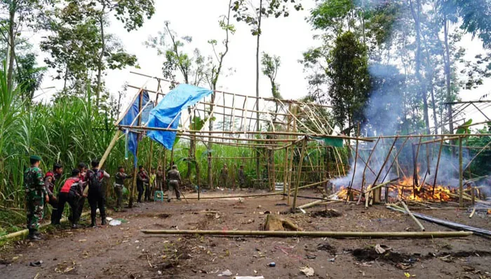 Sabung-Ayam