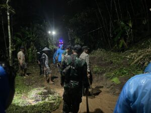 IMG-20251106-WA0261