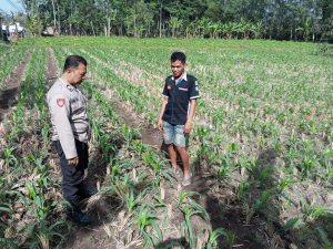 IMG-20260727-WA0058