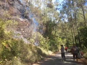 IMG-20260811-WA0081