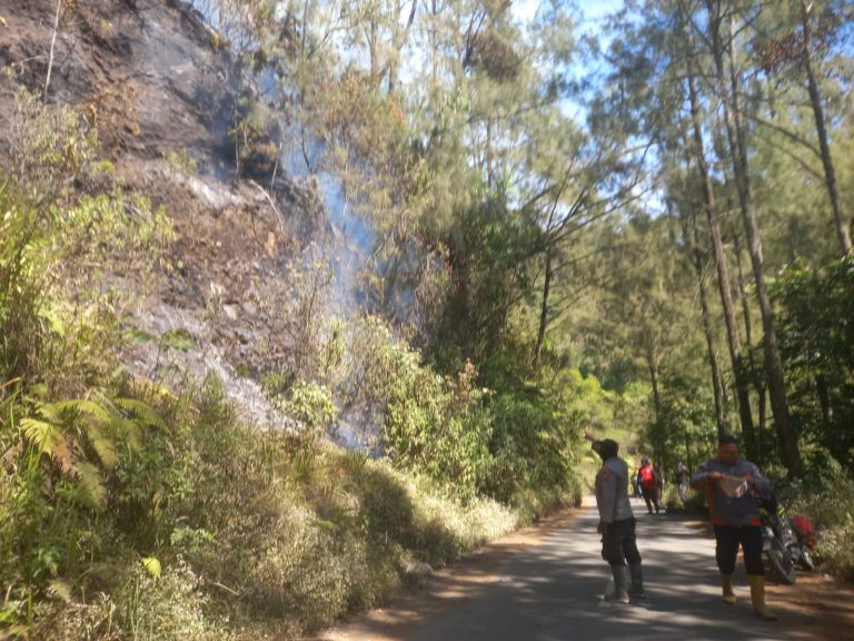 IMG-20260811-WA0081