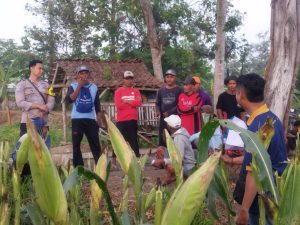 IMG-20260927-WA0026