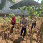 IMG-20261029-WA0055